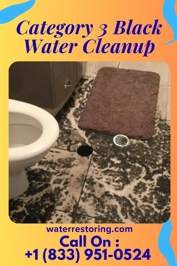 Category 3 Black Water Cleanup in Clarks, NE